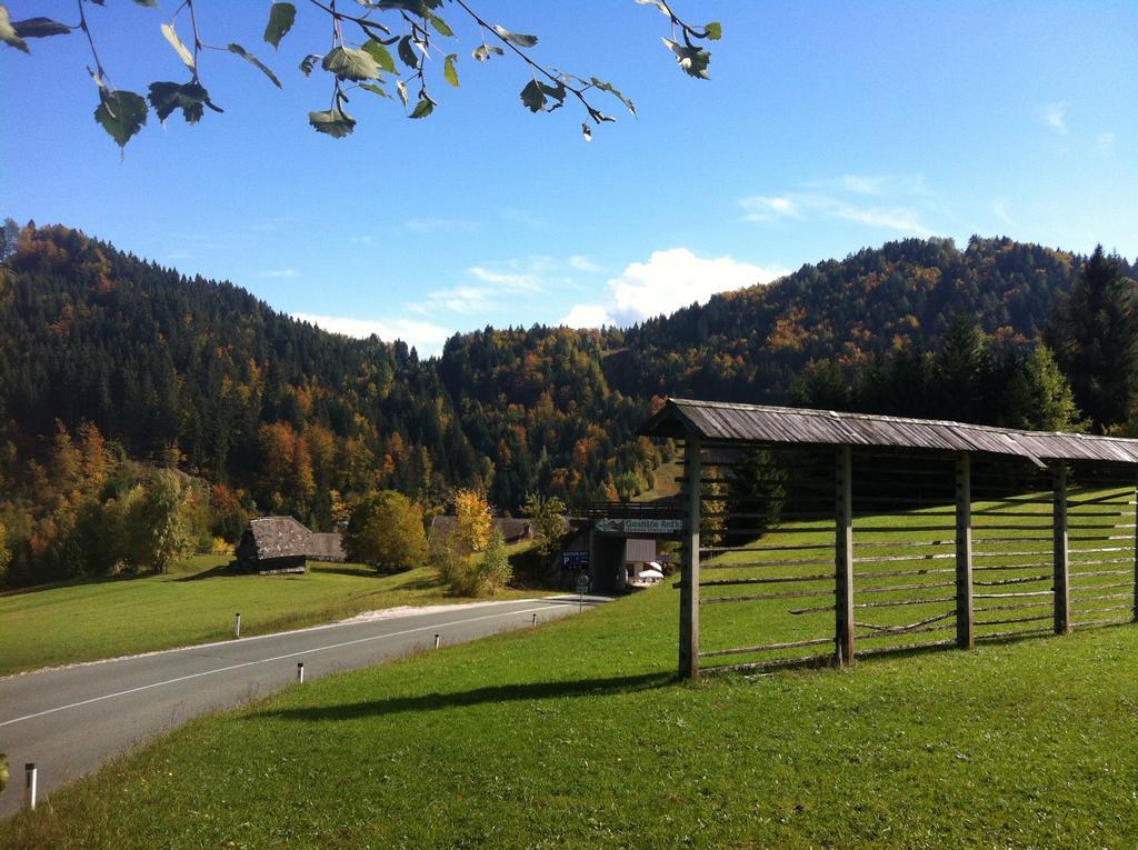Bed&Breakfast Anz'K Bled Bagian luar foto